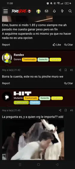 Screenshot_2025-06-04-23-00-00-81_e4424258c8b8649f6e67d283a50a2cbc.webp